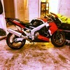 1998 zx6r ninja