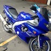 Yamaha YZF 600r Thundercat