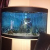 Fish tank