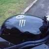triumph daytona 955i