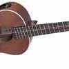 lanikai ukulele concert size with pickup+amp &tuner ( Kite kitesurfing landboarding flexifoil naish)