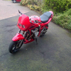 suzuki bandit 600 , n reg