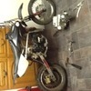 125cc pitbike