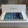 Flappy birds iphone 5  16GB