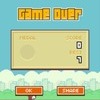 iPhone 5s FLAPPY BIRDS