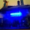 TROPICAL FISH TANK