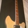 rickenbacker 360 / 6 string