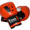 Signed CARL FROCH Vanquish Boxing gloves 2012