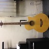 Electro acoustic bass guitar.