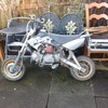 genuine thumpstar stamped 125cc (FAST)