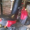 peugeot squab 50cc £200 or nearest offer