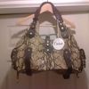 chloe snakeskin bag