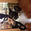 Outlaw Pitt bike 125cc 2013 model