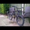 United bmx