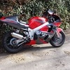 suzuki gsxr srad 600