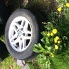 BMW alloys