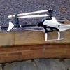 Raptor 30 V2 RC helicopter