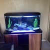 4ft curved fish tank fluval