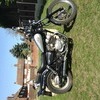 Honda rebel 250cc swop 4 CRf,Ktm,kxf,bikes,quads etc