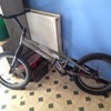 Onza t pro trials bike