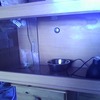3 Foot Vivarium