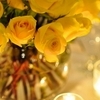 Sending flowers is a priceless gift for Mother’s Day in Bangalore