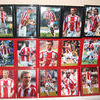 STOKE CITY FULL TEAM FRAMED AUTOGRAPHED "BRITTANIA" STRIP