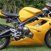 triumph Daytona 675 06 plate