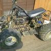 Eton Viper Rollin Quad Frame