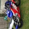 Honda Cbr 600