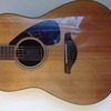 Yamaha 12string