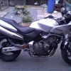 hornet 600 2001swap for van???