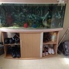 550 litre bow fronted tank
