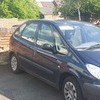 citron Picasso