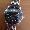 Omega Seamaster Professional