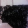 dorthey perkins lovely lace dress