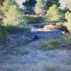 8.3 acres woodland and pasture + caravan. spain