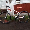 Whistle patwin 1383D mountain bike