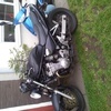 bandit 600