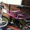 Vesuvius (girls) mountain bike for sale