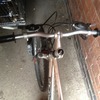 Saracen mountain bike £30 or swap