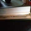9ct Gold plated necklace £30
