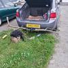 motorbike carrier for putting on towbar