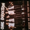 One Direction - Where We Are Tour 2014 - pair of pitch standing tickets