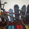 sunday scout bmx