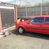 ford fista