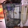 parrot cage
