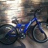 giant mtx 225 mountain bike