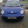vw beetle