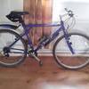 gt mountain bike solid frame